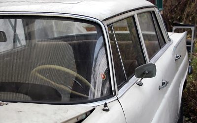 Mercedes W111 230S Limousine: Flosse in der Gartenlaube!