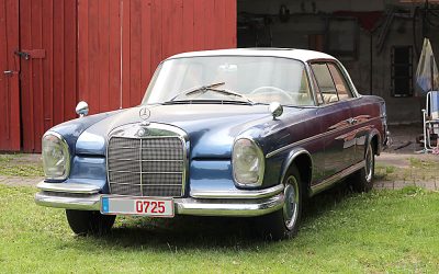 Mercedes W110, W111, W112, welche Flosse heißt wie?