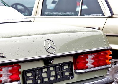 Mercedes 861Silbergrün & 881 Silberdistel1